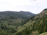 4.30.06 Hamilton Mountain 051 